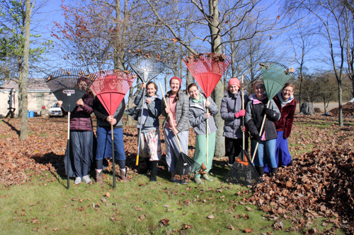 Eight young girls pose with their rakes surrounded by fall leaves.