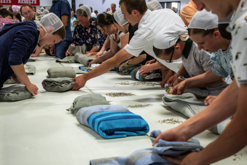 A line of young men and women fold blankets together and tie them together.